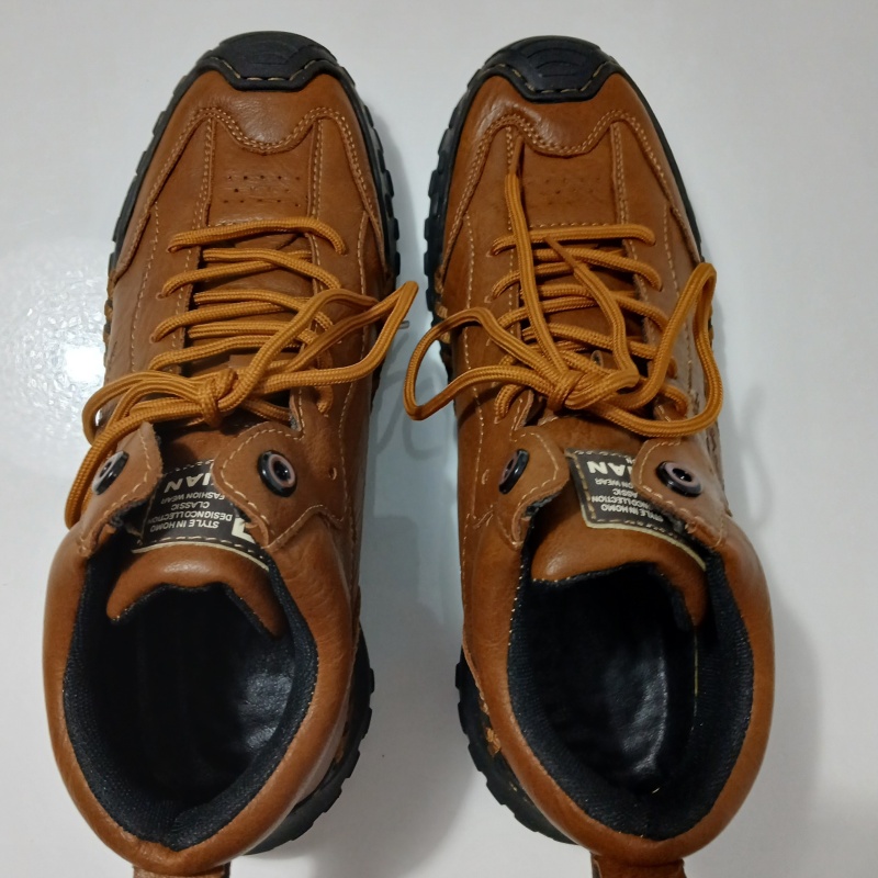 Zapato de cuero marrón